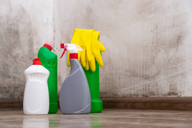 Henrietta, TX Mold Removal Company